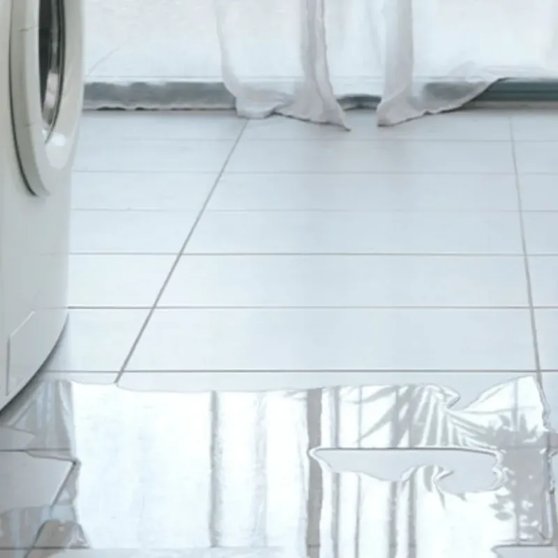 Appliance Leak Cleanup in Davis, OK