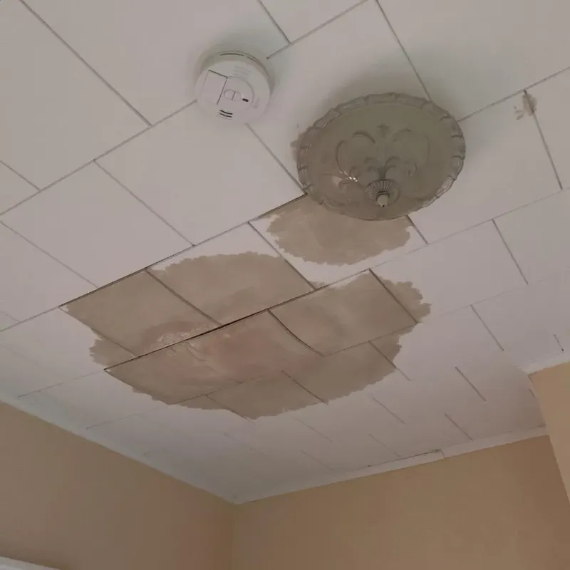 Ceiling Water Damage Repair in Davis, OK