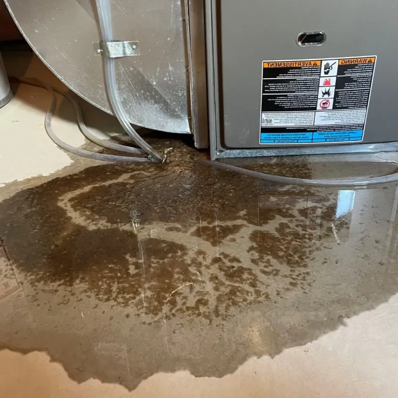 Pipe Burst and Leak Restoration in Davis, OK