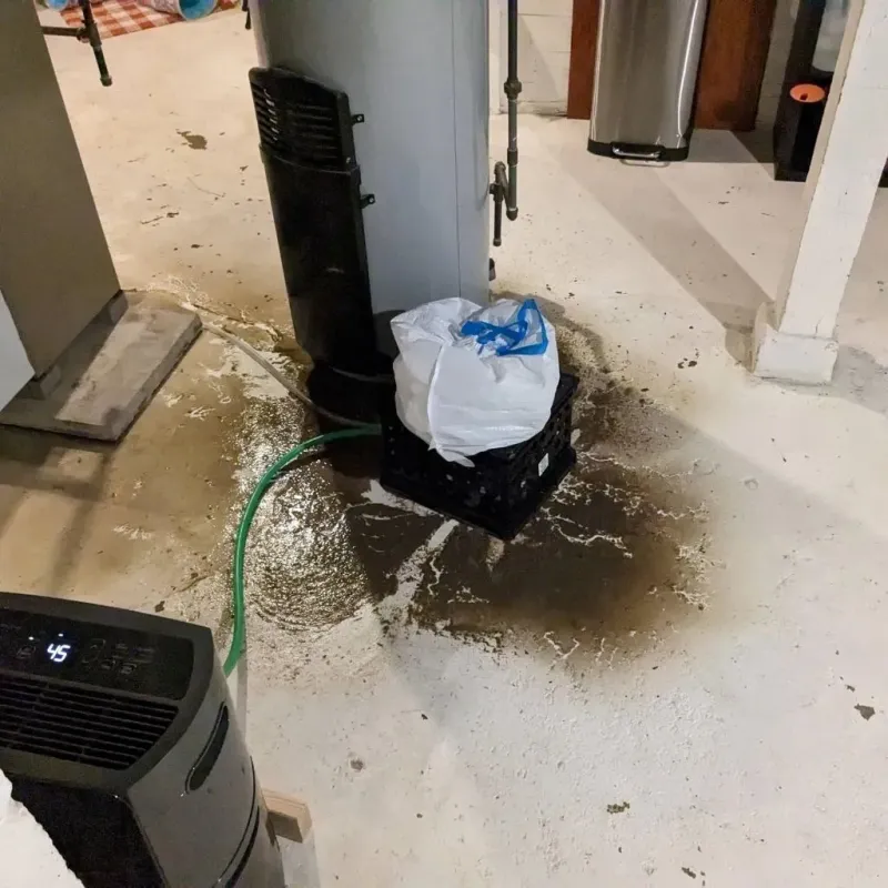 Sewage Backup Cleanup Service in Davis, OK